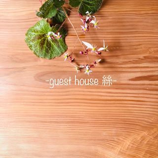 トピックス 麻布織り体験 ゲストハウス 絲 いと トピックス 麻布織り体験 ゲストハウス 絲 いと